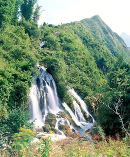 Động Cốc San Lào Cai