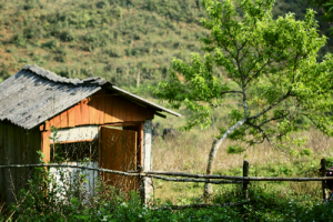 Ngôi nhà nhỏ trên thảo nguyên