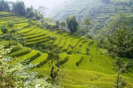 Some information about Sapa weather