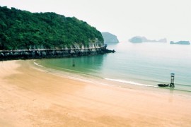 Things to know about Cat Ba Island