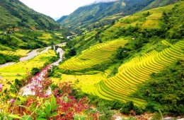 Trekking to Muong Hoa Valley