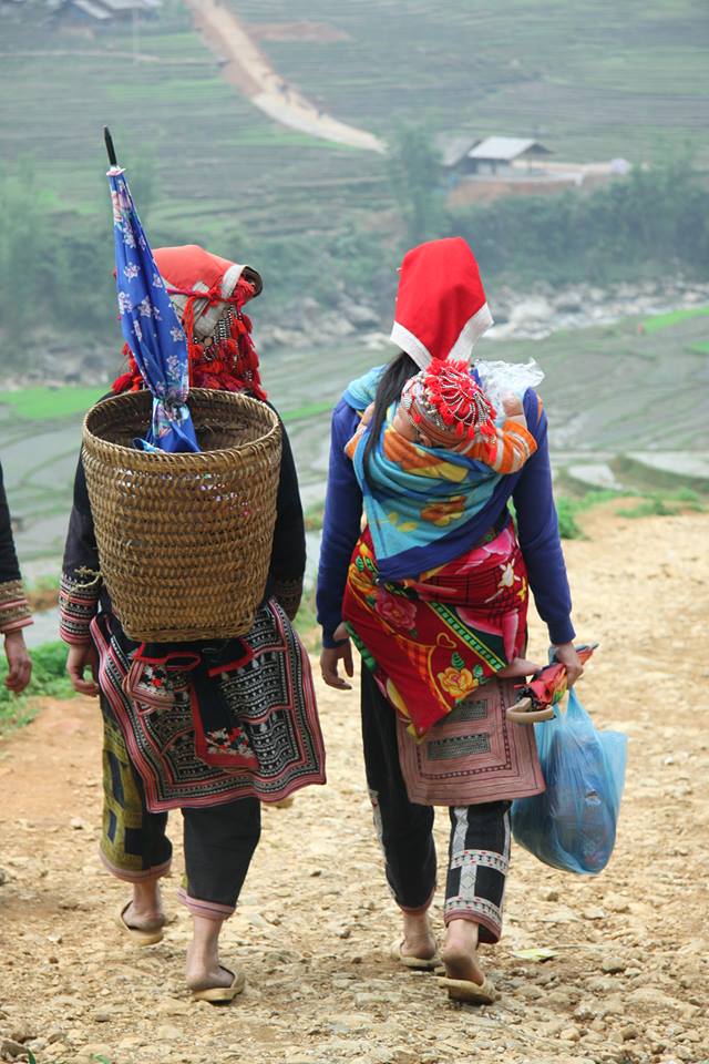 sapa hmong