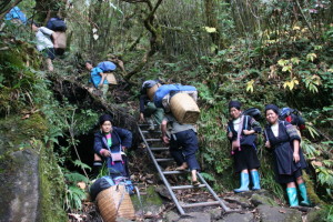hmong porters